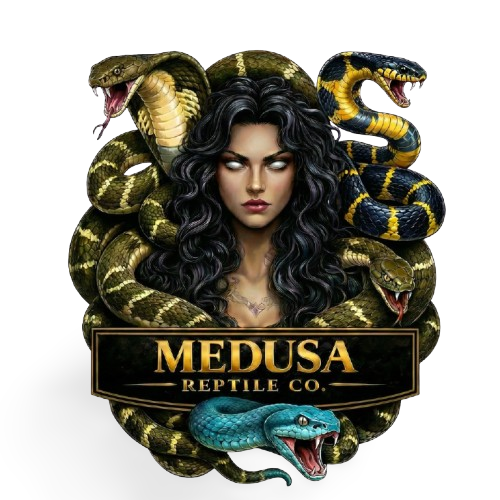 Medusa Reptile Co.