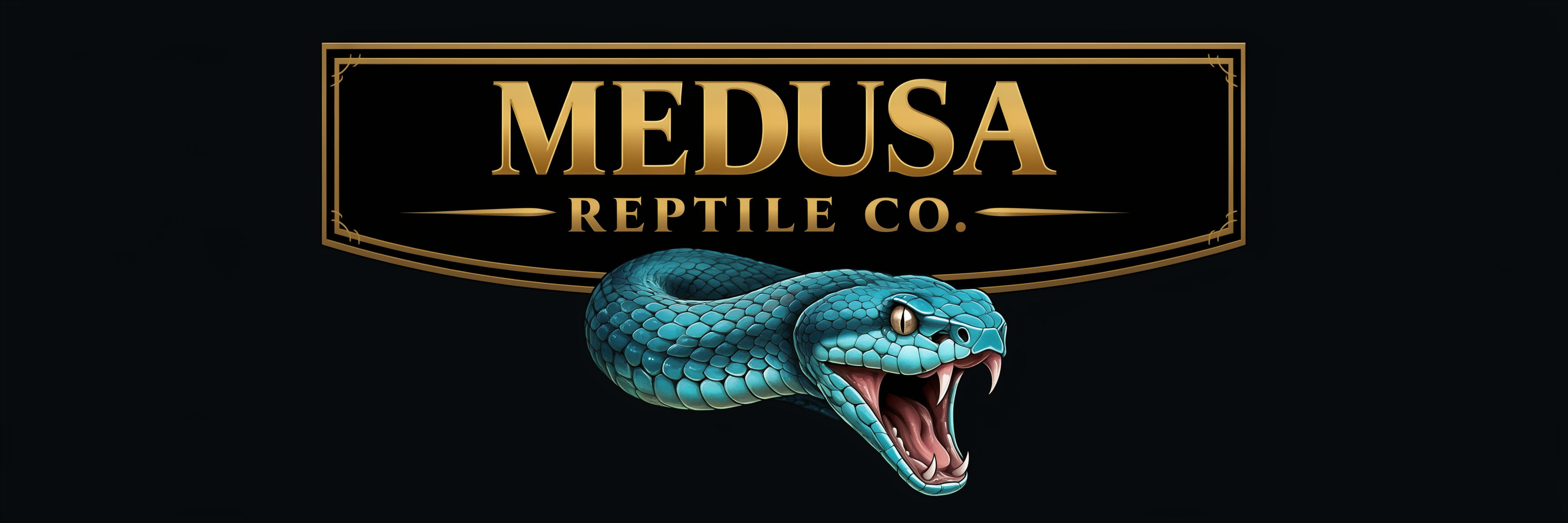 Medusa Reptile Co.